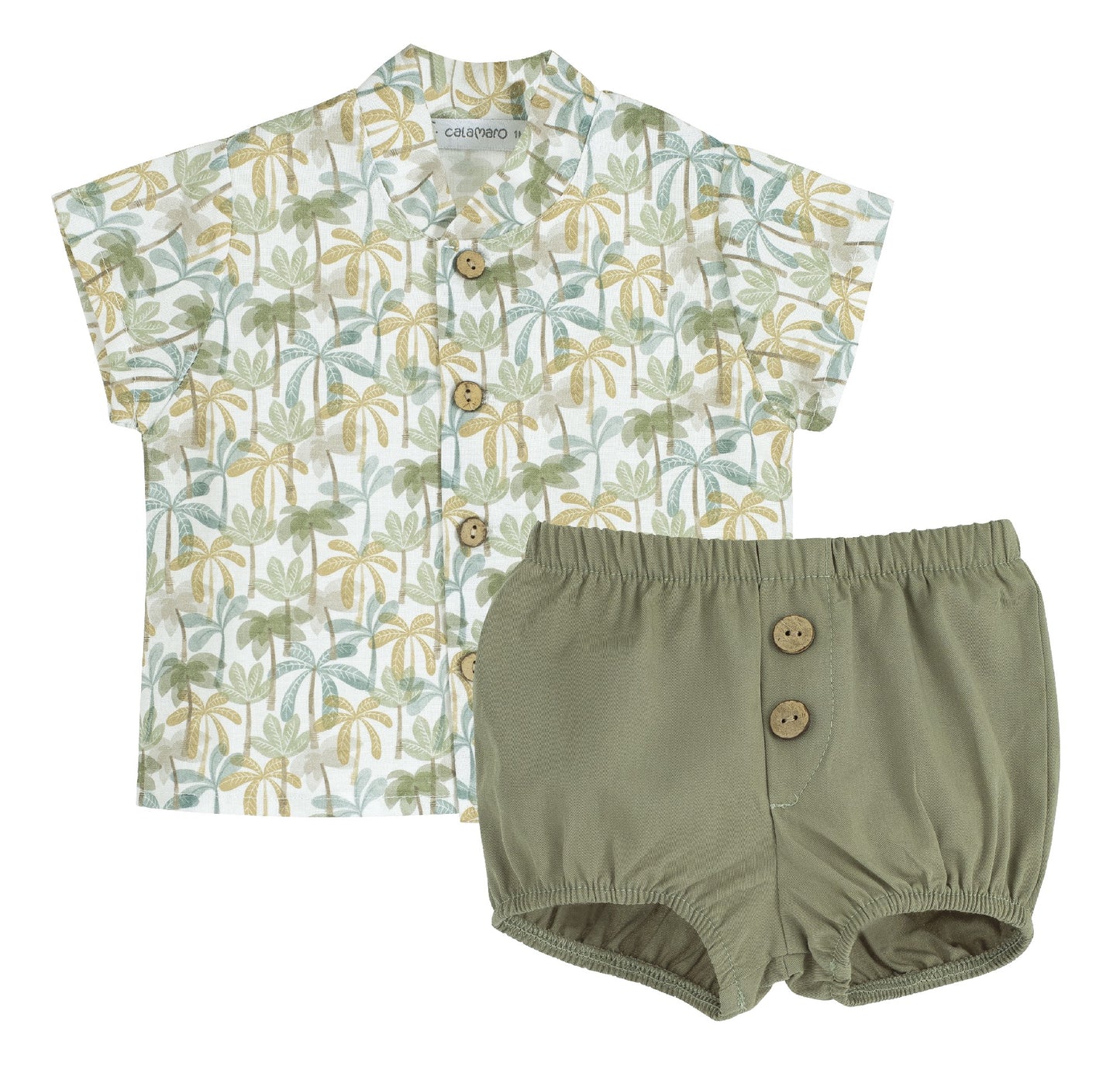 Palm trees Set
