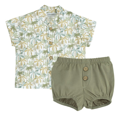 Palm trees Set