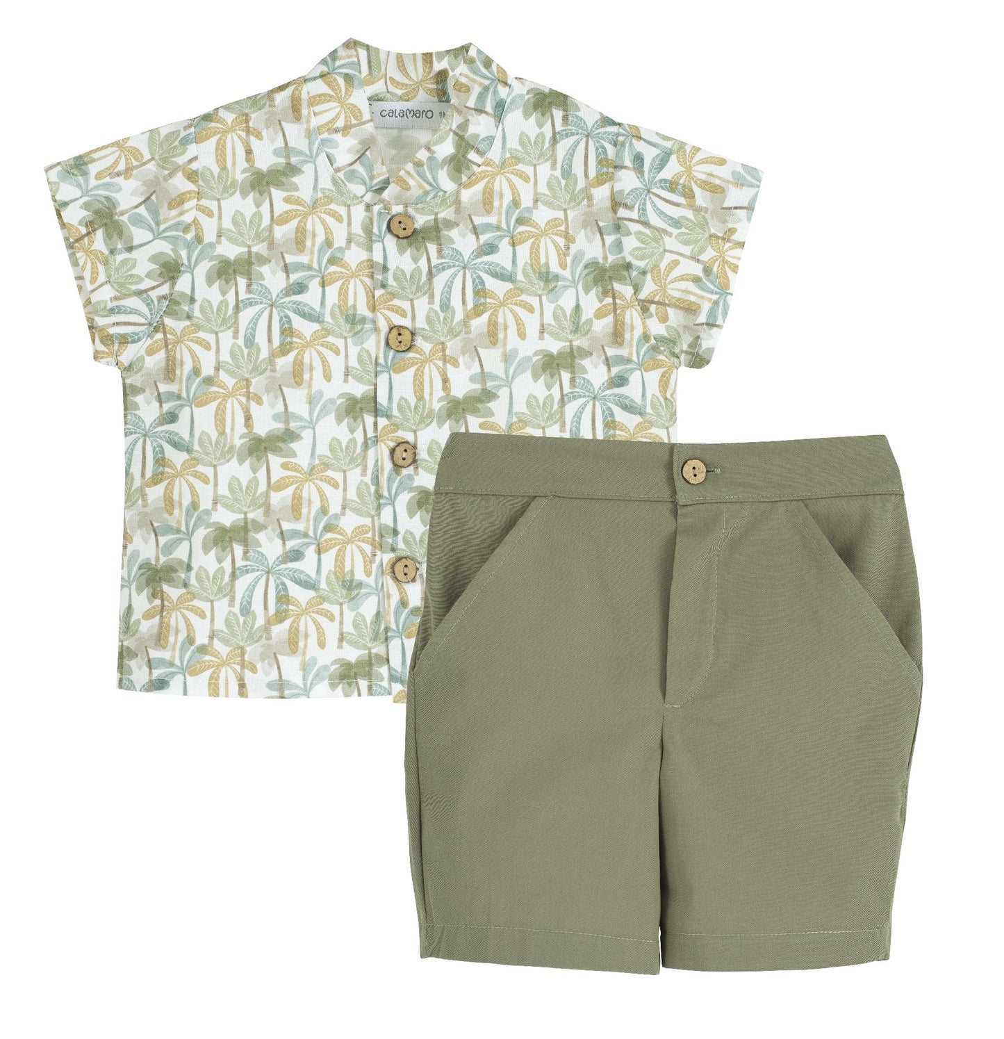 Palm trees Set