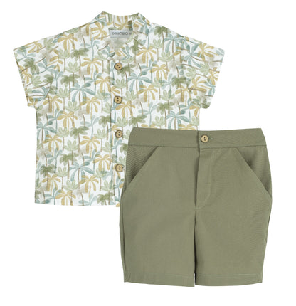 Palm trees Set